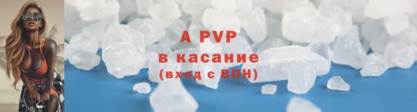 apvp Богородицк